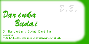 darinka budai business card